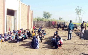 Px21-017 CHINIOT: Dec21  Students of Government Primary School seen studying in open air near cows which are tied in the premises. ONLINE PHOTO by Malik Muhammad Ali